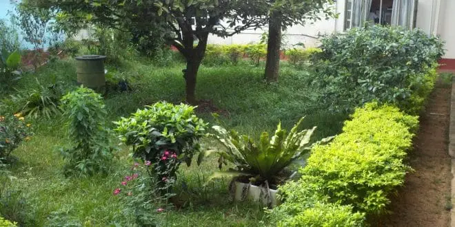 Spring's Hidden Budget Pitfalls