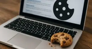 Hidden Risks of Browser Cookies