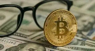 Should You Own Crypto